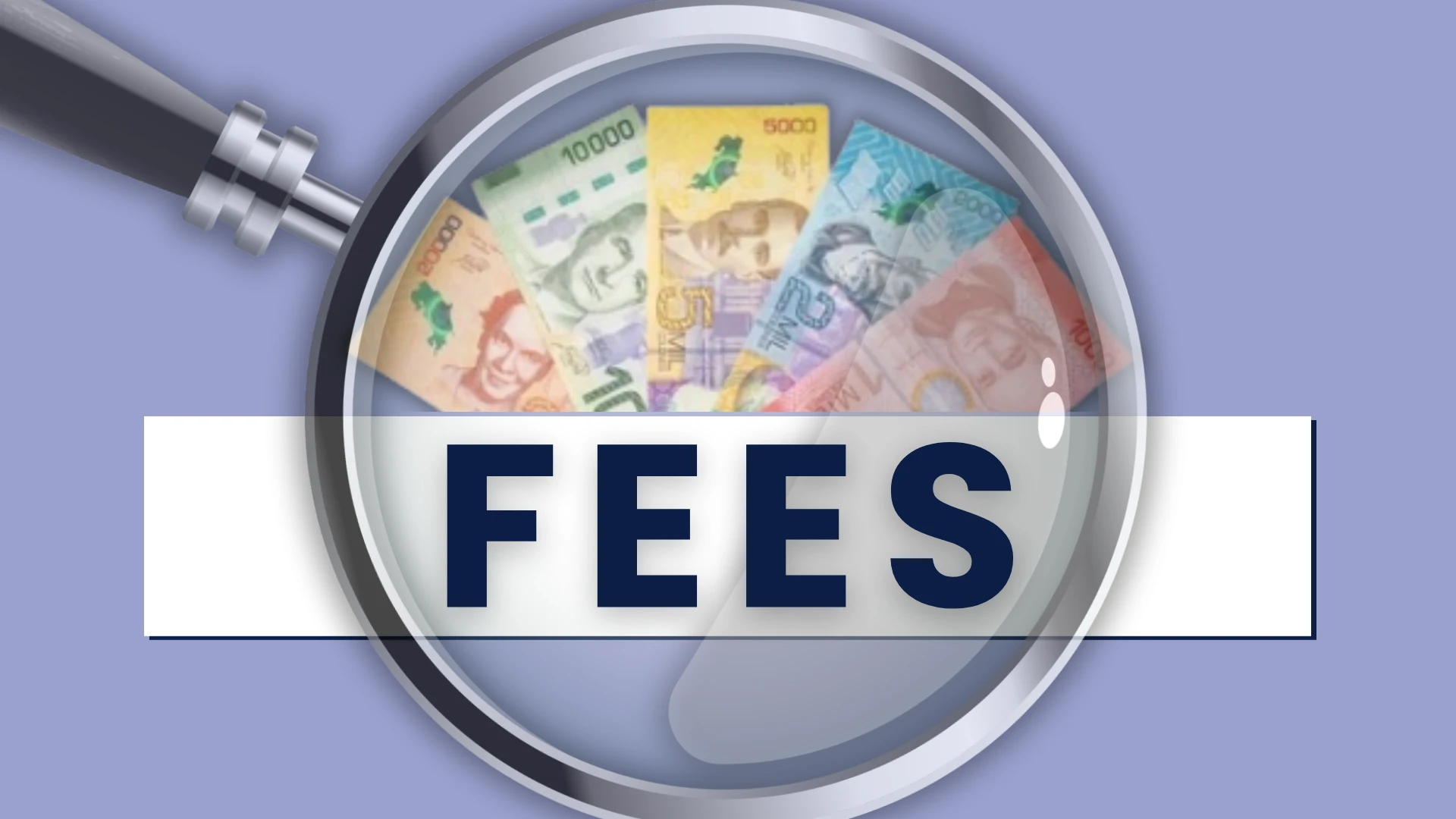 Investigar en qué gastan el FEES las Universidades